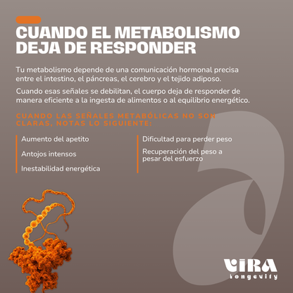 Metaflow
