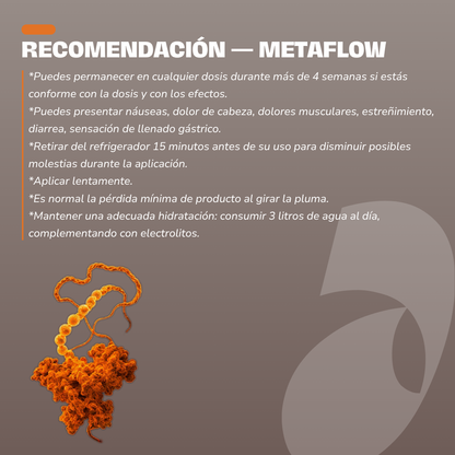 Metaflow