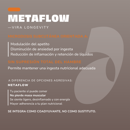 Metaflow